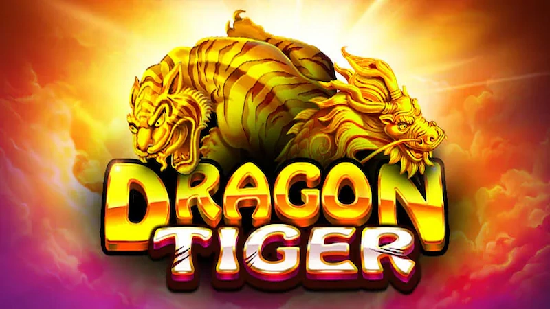 The safest Tiger Dragon betting formula