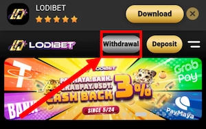 click on the 'Withdraw'